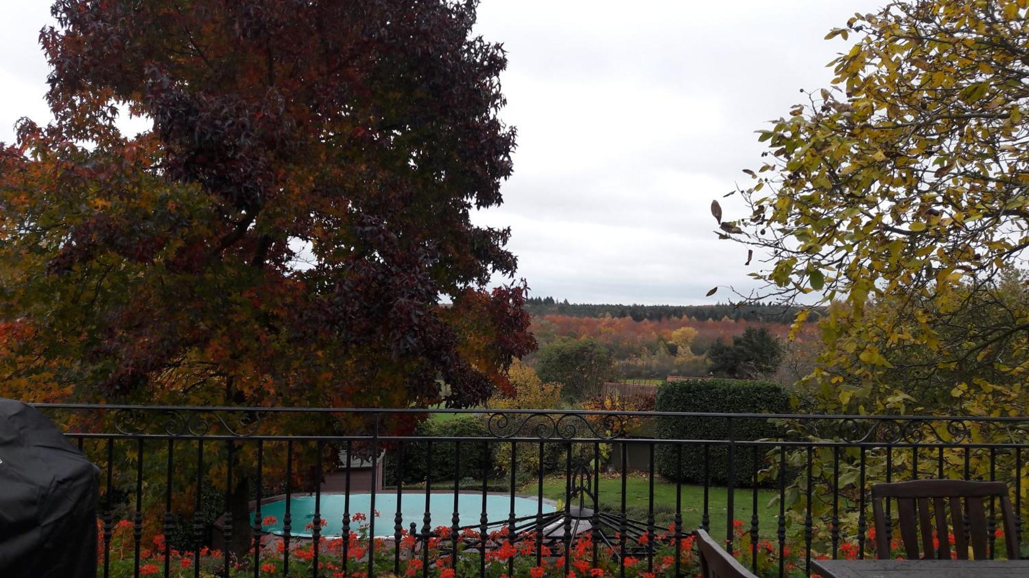 Hallerbos B&B In Bluebell Forest Halle  Εξωτερικό φωτογραφία