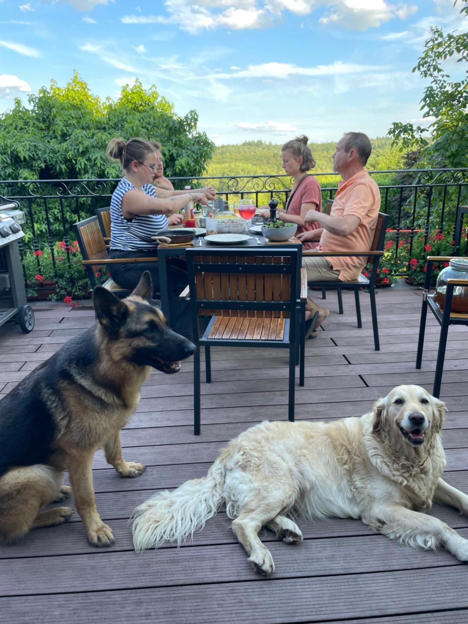 Hallerbos B&B In Bluebell Forest Halle  Εξωτερικό φωτογραφία