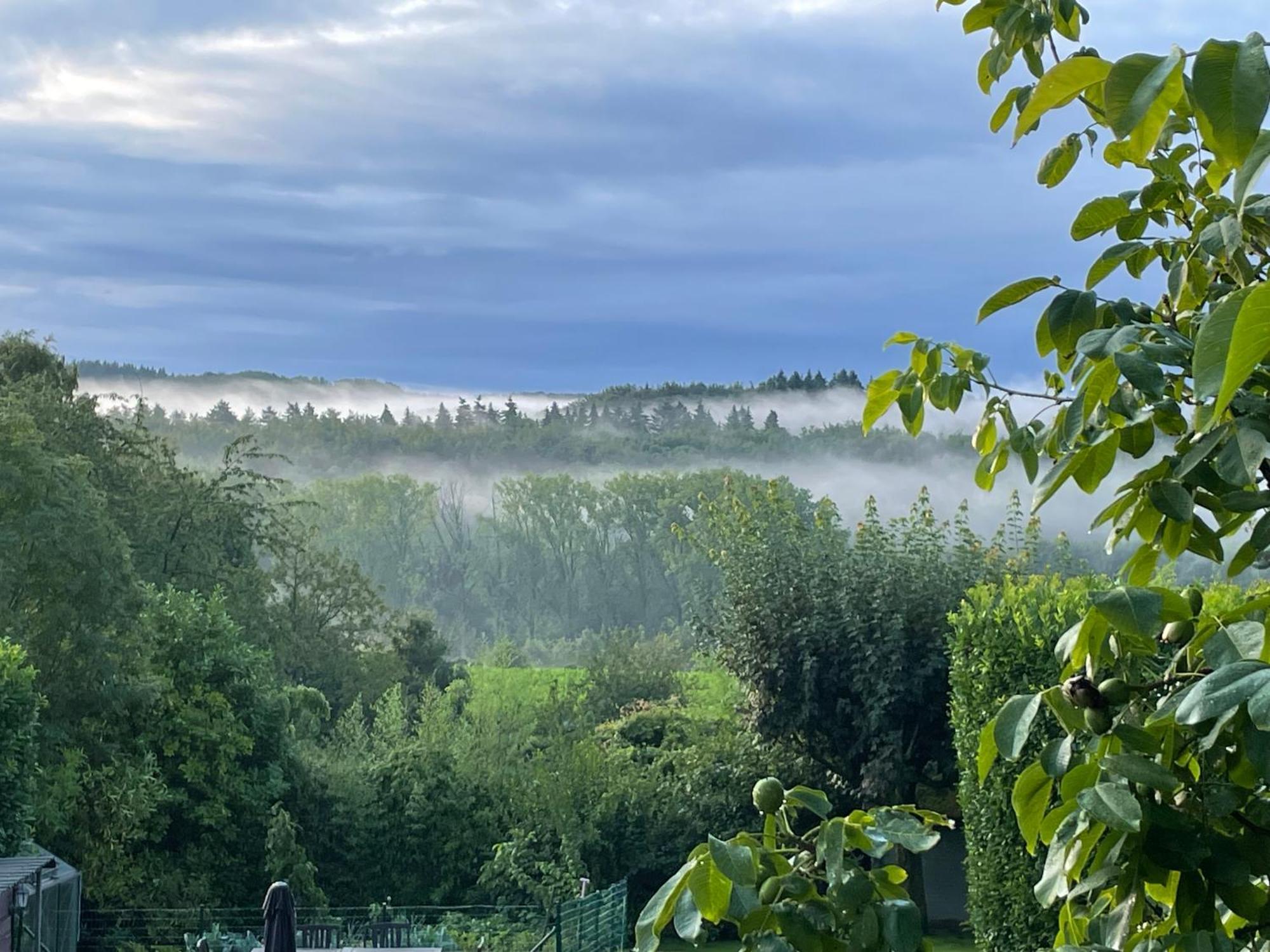 Hallerbos B&B In Bluebell Forest Halle  Εξωτερικό φωτογραφία